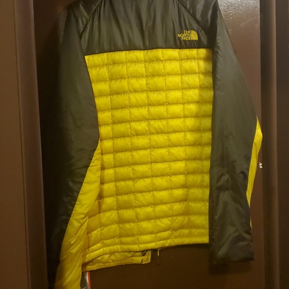 Jacket - Picture 4 of 5